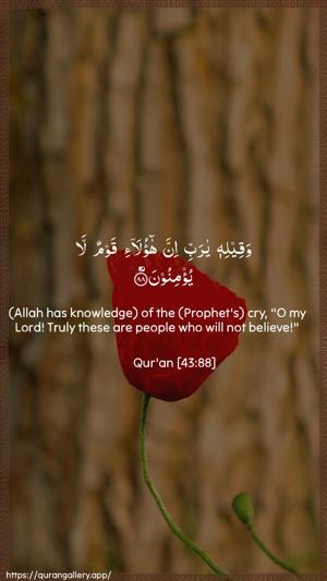 Az-Zukhruf Ayah 88 - Arabic + English wallpaper