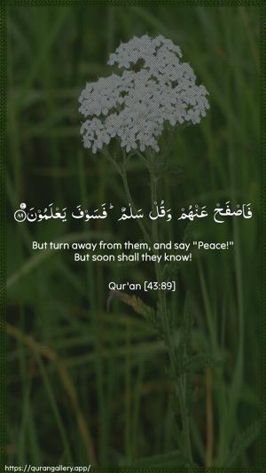 Az-Zukhruf Ayah 89 - Arabic + English wallpaper