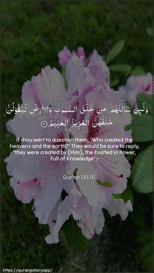 Az-Zukhruf Ayah 9 - Arabic + English wallpaper