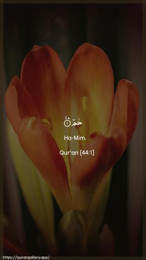 Ad-Dukhaan Ayah 1 - Arabic + English wallpaper