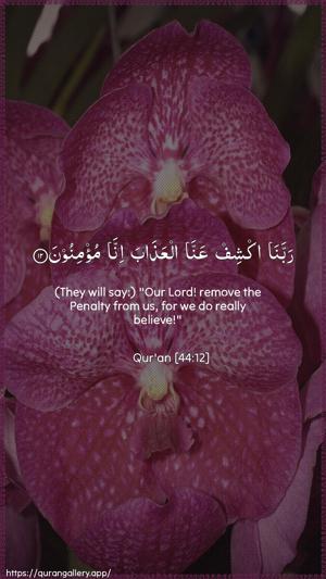 Ad-Dukhaan Ayah 12 - Arabic + English wallpaper