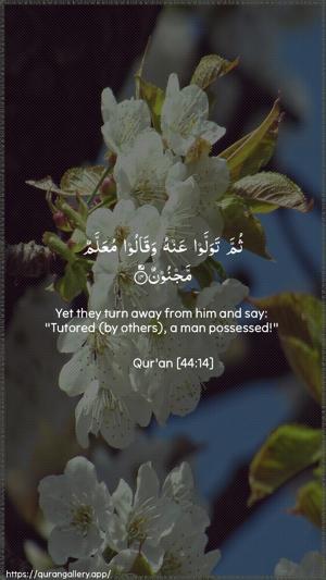 Ad-Dukhaan Ayah 14 - Arabic + English wallpaper