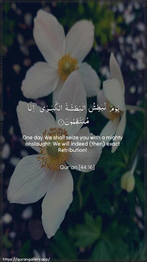 Ad-Dukhaan Ayah 16 - Arabic + English wallpaper