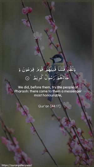 Ad-Dukhaan Ayah 17 - Arabic + English wallpaper