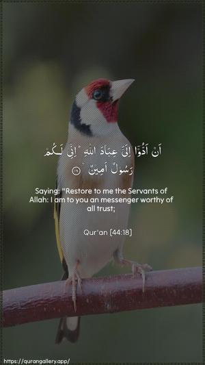 Ad-Dukhaan Ayah 18 - Arabic + English wallpaper