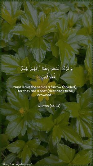 Ad-Dukhaan Ayah 24 - Arabic + English wallpaper