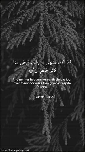 Ad-Dukhaan Ayah 29 - Arabic + English wallpaper