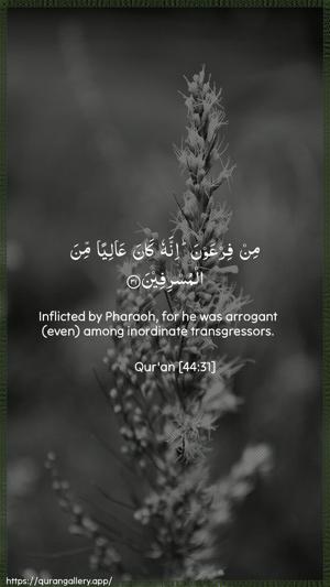 Ad-Dukhaan Ayah 31 - Arabic + English wallpaper