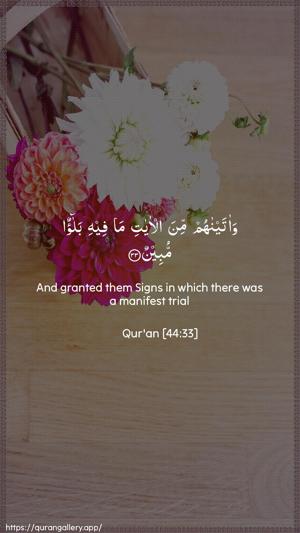 Ad-Dukhaan Ayah 33 - Arabic + English wallpaper