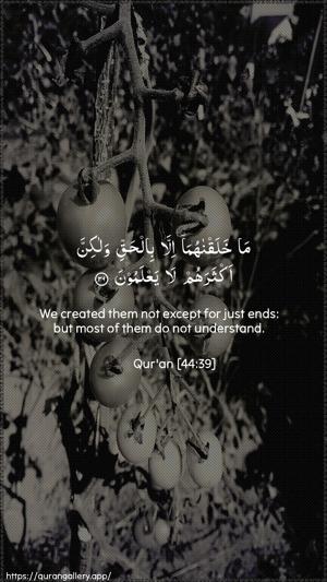 Ad-Dukhaan Ayah 39 - Arabic + English wallpaper