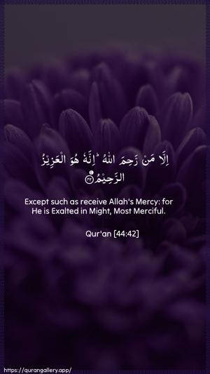 Ad-Dukhaan Ayah 42 - Arabic + English wallpaper