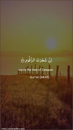 Ad-Dukhaan Ayah 43 - Arabic + English wallpaper