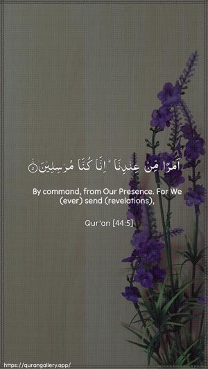 Ad-Dukhaan Ayah 5 - Arabic + English wallpaper