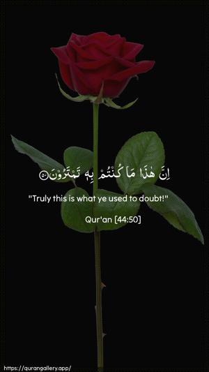 Ad-Dukhaan Ayah 50 - Arabic + English wallpaper
