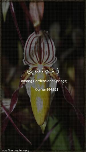 Ad-Dukhaan Ayah 52 - Arabic + English wallpaper