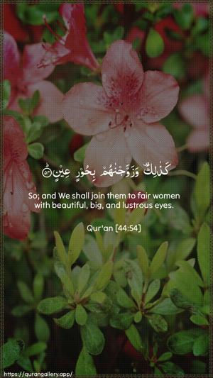 Ad-Dukhaan Ayah 54 - Arabic + English wallpaper