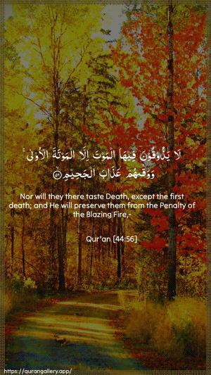 Ad-Dukhaan Ayah 56 - Arabic + English wallpaper