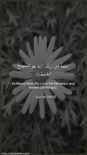 Ad-Dukhaan Ayah 6 - Arabic + English wallpaper