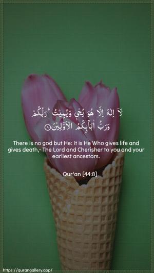 Ad-Dukhaan Ayah 8 - Arabic + English wallpaper