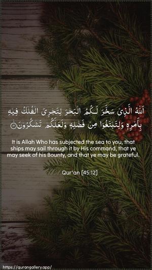 Al-Jaathiya Ayah 12 - Arabic + English wallpaper