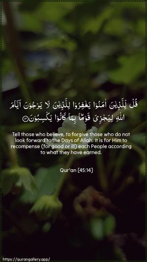 Al-Jaathiya Ayah 14 - Arabic + English wallpaper