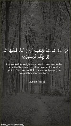 Al-Jaathiya Ayah 15 - Arabic + English wallpaper