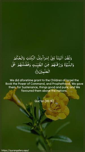 Al-Jaathiya Ayah 16 - Arabic + English wallpaper