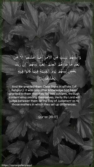 Al-Jaathiya Ayah 17 - Arabic + English wallpaper
