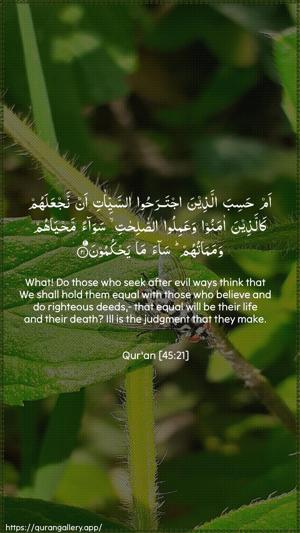 Al-Jaathiya Ayah 21 - Arabic + English wallpaper
