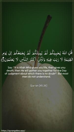 Al-Jaathiya Ayah 26 - Arabic + English wallpaper