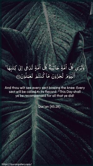 Al-Jaathiya Ayah 28 - Arabic + English wallpaper