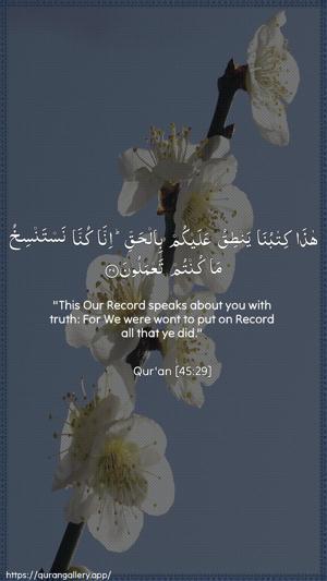 Al-Jaathiya Ayah 29 - Arabic + English wallpaper