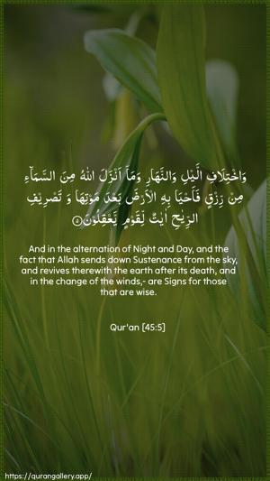 Al-Jaathiya Ayah 5 - Arabic + English wallpaper