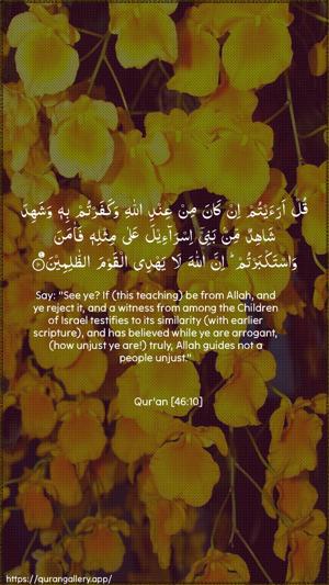 Al-Ahqaf Ayah 10 - Arabic + English wallpaper