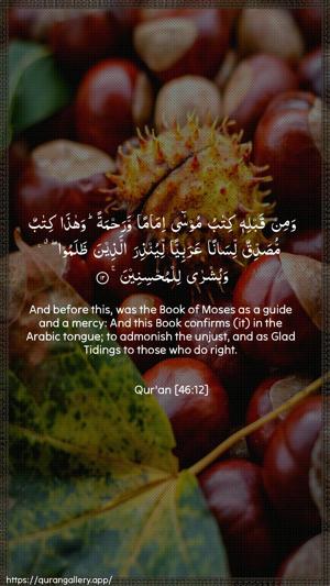 Al-Ahqaf Ayah 12 - Arabic + English wallpaper