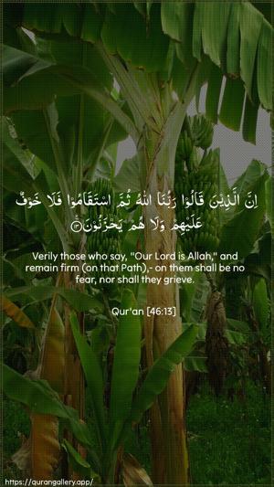 Al-Ahqaf Ayah 13 - Arabic + English wallpaper