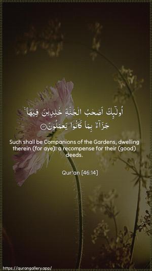 Al-Ahqaf Ayah 14 - Arabic + English wallpaper