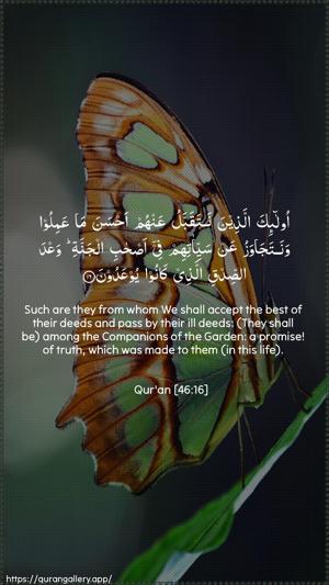 Al-Ahqaf Ayah 16 - Arabic + English wallpaper
