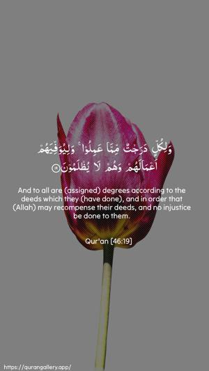 Al-Ahqaf Ayah 19 - Arabic + English wallpaper