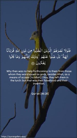 Al-Ahqaf Ayah 28 - Arabic + English wallpaper