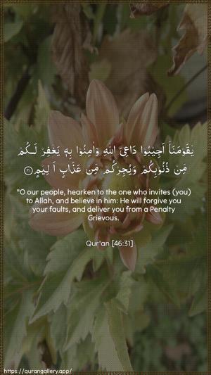 Al-Ahqaf Ayah 31 - Arabic + English wallpaper