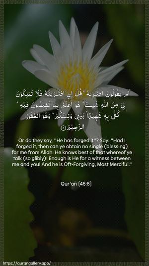 Al-Ahqaf Ayah 8 - Arabic + English wallpaper