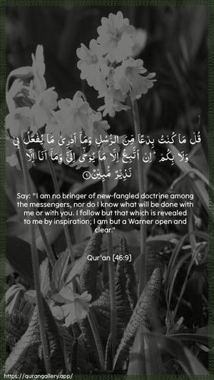 Al-Ahqaf Ayah 9 - Arabic + English wallpaper
