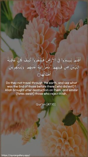 Muhammad Ayah 10 - Arabic + English wallpaper