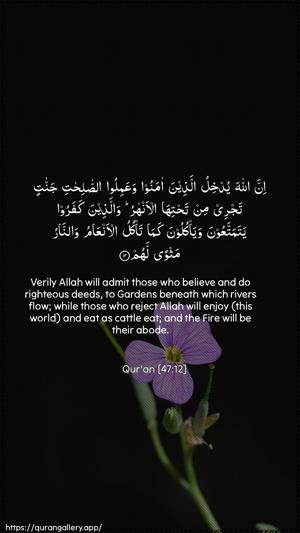 Muhammad Ayah 12 - Arabic + English wallpaper