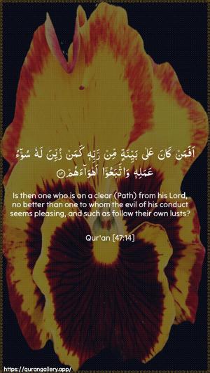 Muhammad Ayah 14 - Arabic + English wallpaper