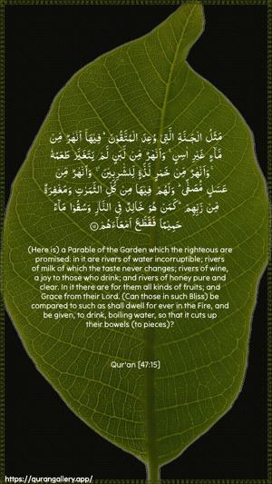 Muhammad Ayah 15 - Arabic + English wallpaper