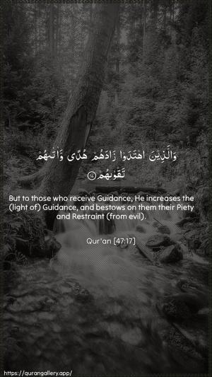Muhammad Ayah 17 - Arabic + English wallpaper