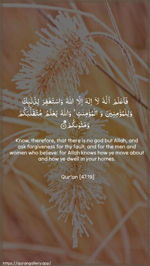 Muhammad Ayah 19 - Arabic + English wallpaper