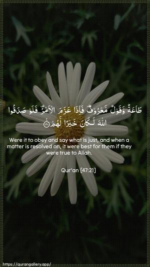 Muhammad Ayah 21 - Arabic + English wallpaper